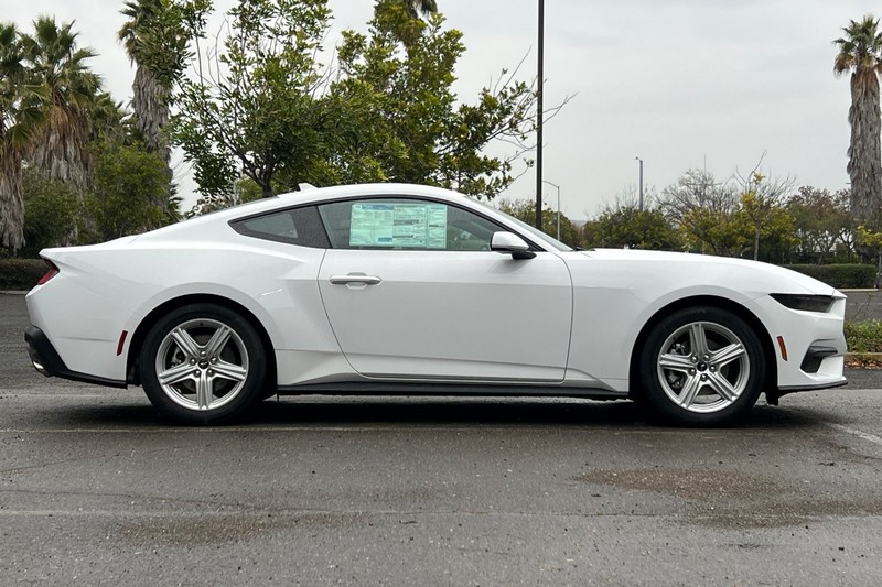 Ford Mustang Vehicle Full-screen Gallery Image 02