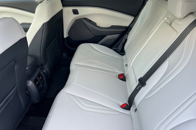 Ford Mustang Mach-E Vehicle Full-screen Gallery Image 14