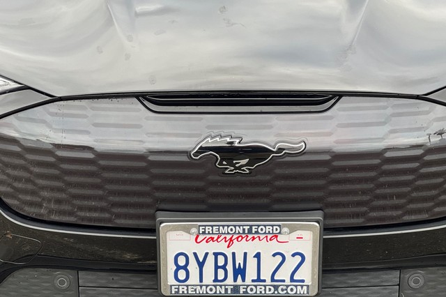 Ford Mustang Mach-E Vehicle Full-screen Gallery Image 49