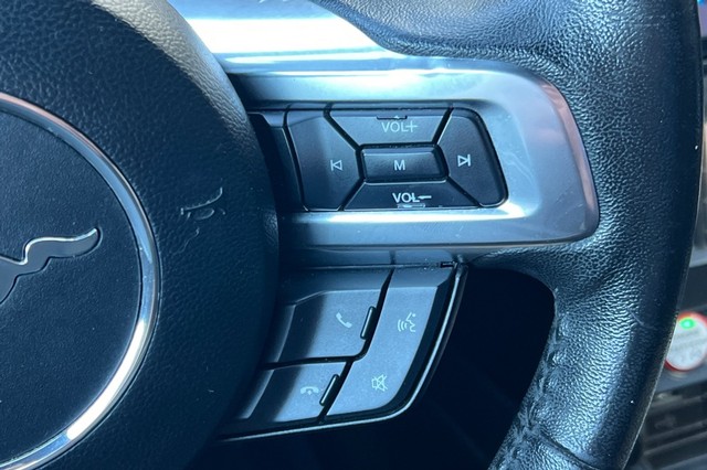 Ford Mustang Vehicle Full-screen Gallery Image 35