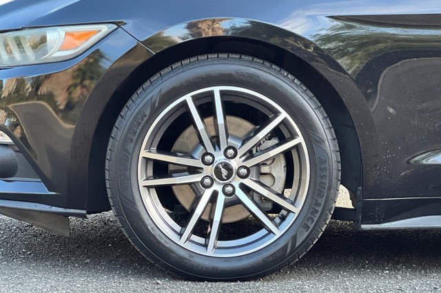 Ford Mustang Vehicle Full-screen Gallery Image 41