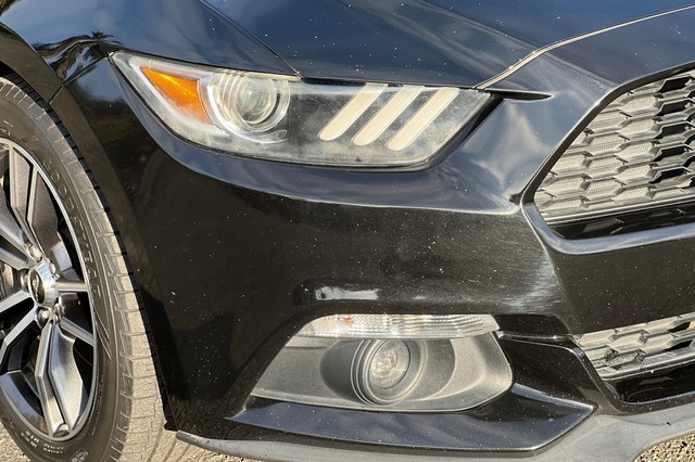 Ford Mustang Vehicle Full-screen Gallery Image 42