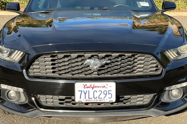 Ford Mustang Vehicle Full-screen Gallery Image 43