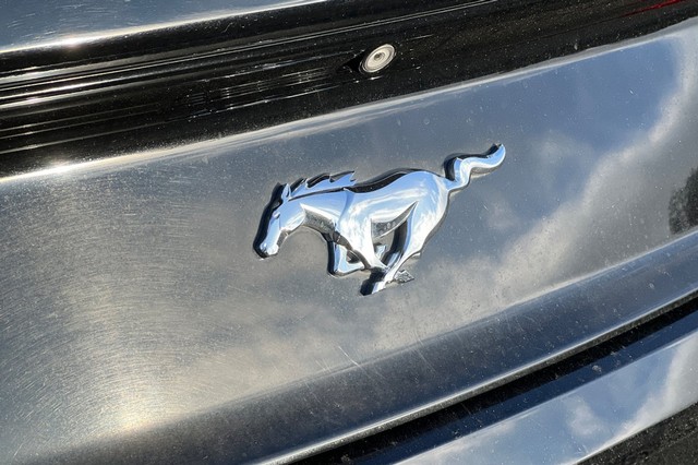 Ford Mustang Vehicle Full-screen Gallery Image 47