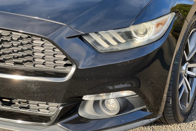 Ford Mustang Vehicle Full-screen Gallery Image 48