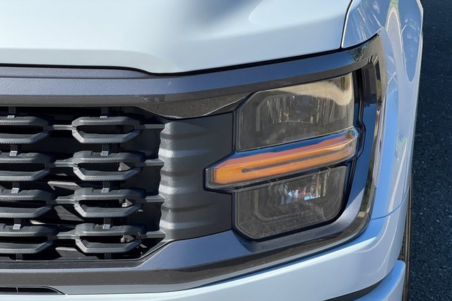 Ford F-150 Vehicle Full-screen Gallery Image 48