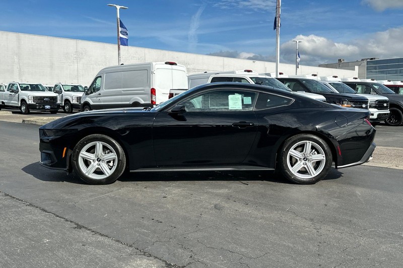 Ford Mustang Vehicle Full-screen Gallery Image 06