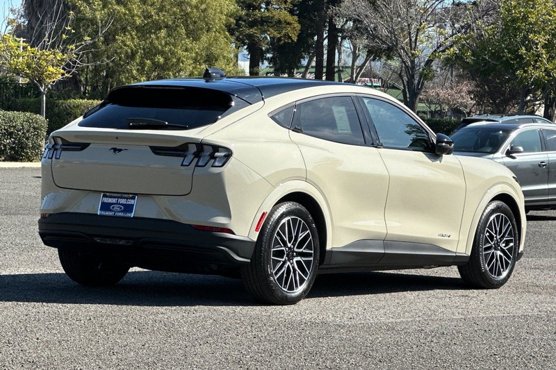 Ford Mustang Mach-E Vehicle Full-screen Gallery Image 03