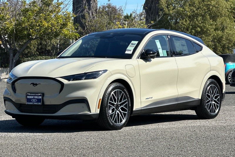 Ford Mustang Mach-E Vehicle Full-screen Gallery Image 07