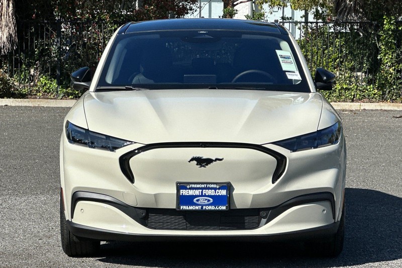 Ford Mustang Mach-E Vehicle Full-screen Gallery Image 08