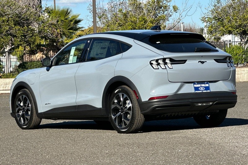 Ford Mustang Mach-E Vehicle Full-screen Gallery Image 05