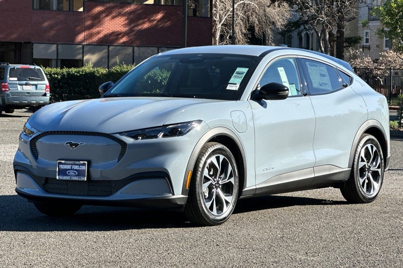 Ford Mustang Mach-E Vehicle Full-screen Gallery Image 07