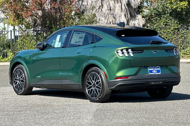 Ford Mustang Mach-E Vehicle Full-screen Gallery Image 05