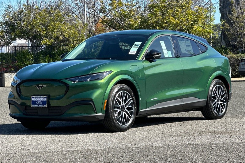 Ford Mustang Mach-E Vehicle Full-screen Gallery Image 07