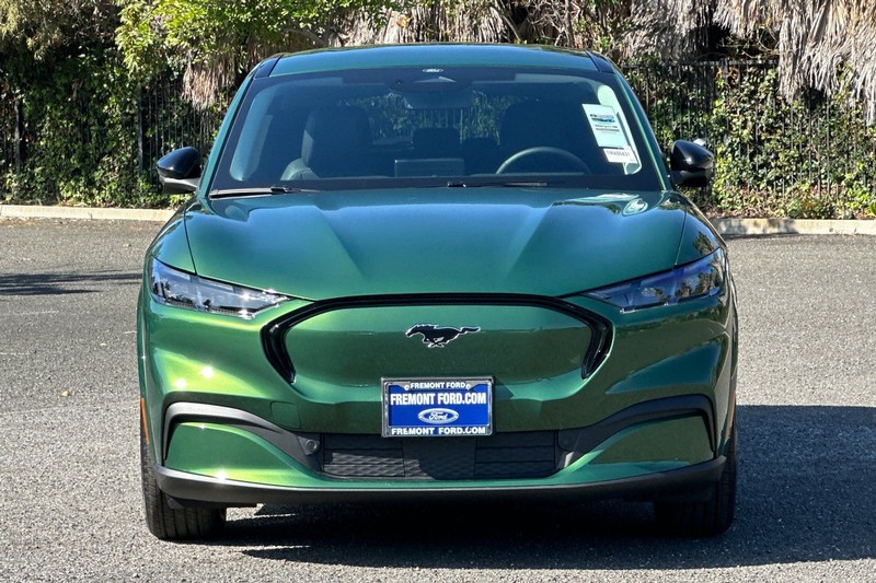 Ford Mustang Mach-E Vehicle Full-screen Gallery Image 08