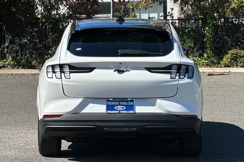 Ford Mustang Mach-E Vehicle Full-screen Gallery Image 04