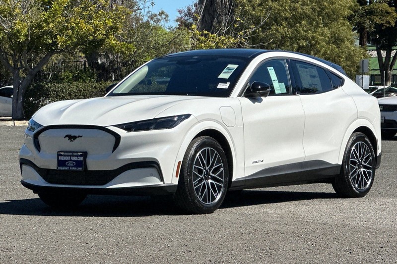 Ford Mustang Mach-E Vehicle Full-screen Gallery Image 07