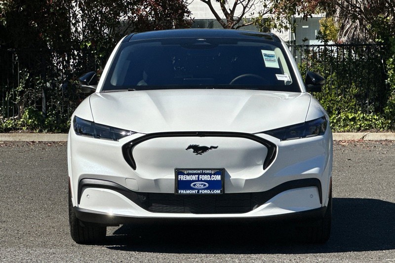 Ford Mustang Mach-E Vehicle Full-screen Gallery Image 08