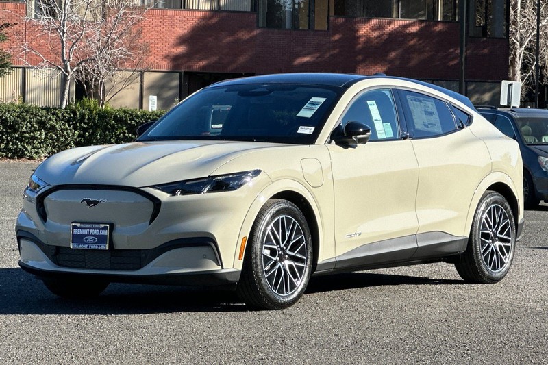 Ford Mustang Mach-E Vehicle Full-screen Gallery Image 07