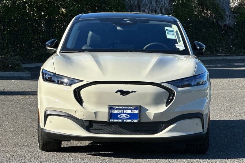 Ford Mustang Mach-E Vehicle Full-screen Gallery Image 08