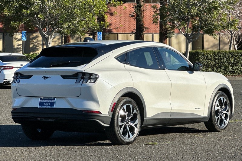 Ford Mustang Mach-E Vehicle Full-screen Gallery Image 03