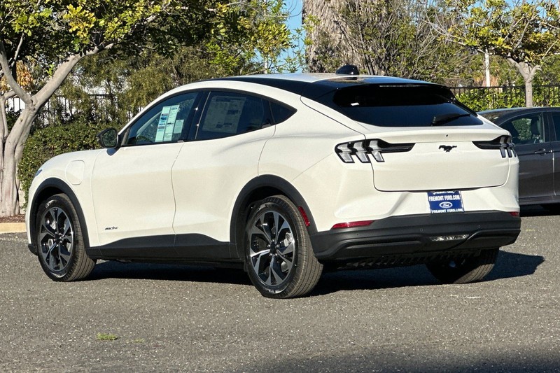 Ford Mustang Mach-E Vehicle Full-screen Gallery Image 05