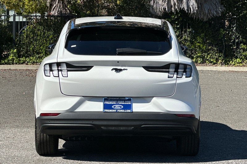 Ford Mustang Mach-E Vehicle Full-screen Gallery Image 04