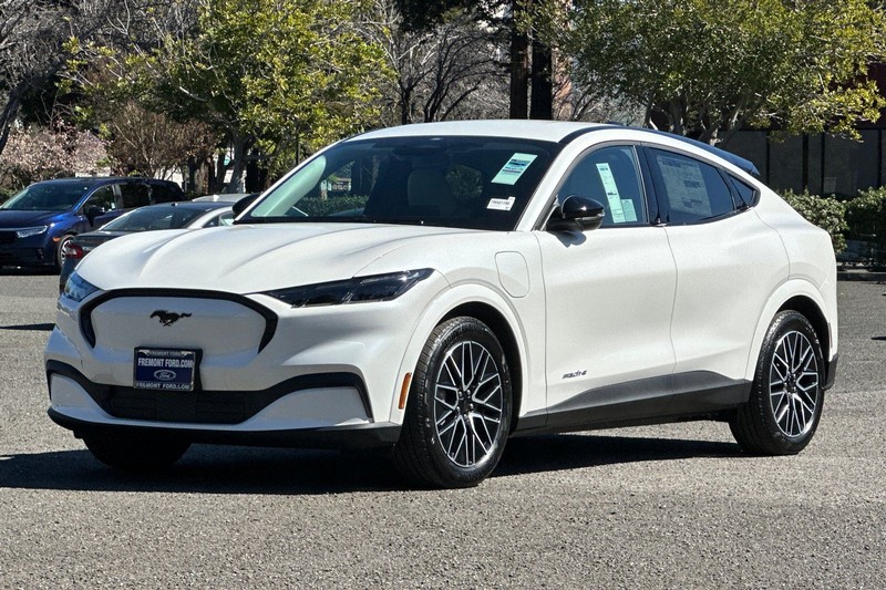 Ford Mustang Mach-E Vehicle Full-screen Gallery Image 07