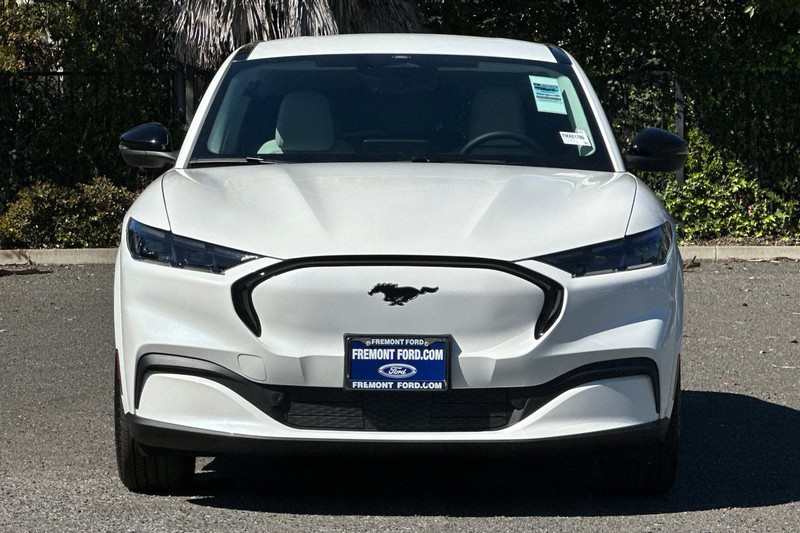 Ford Mustang Mach-E Vehicle Full-screen Gallery Image 08