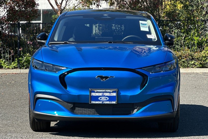 Ford Mustang Mach-E Vehicle Full-screen Gallery Image 08