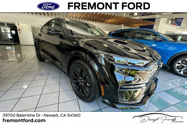 more details - ford mustang mach-e