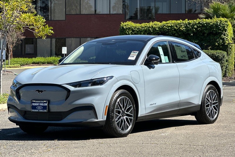 Ford Mustang Mach-E Vehicle Full-screen Gallery Image 07