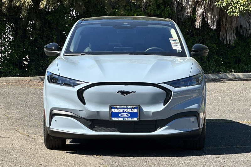 Ford Mustang Mach-E Vehicle Full-screen Gallery Image 08