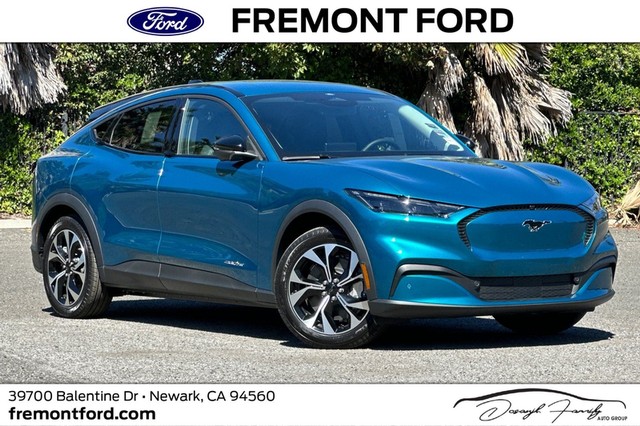 more details - ford mustang mach-e