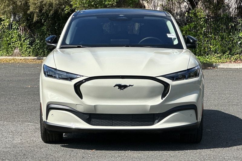 Ford Mustang Mach-E Vehicle Full-screen Gallery Image 08