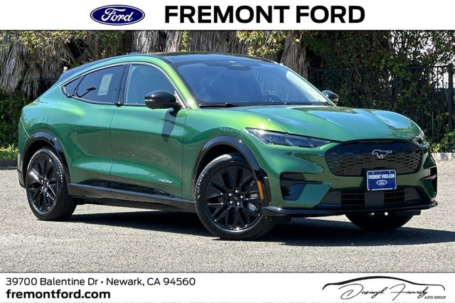 more details - ford mustang mach-e