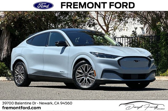 more details - ford mustang mach-e