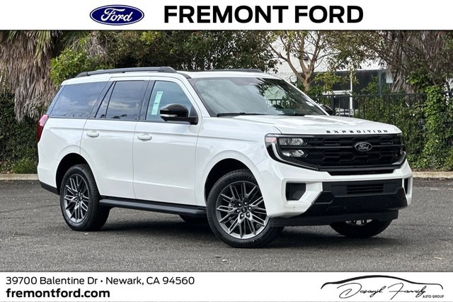 more details - ford expedition