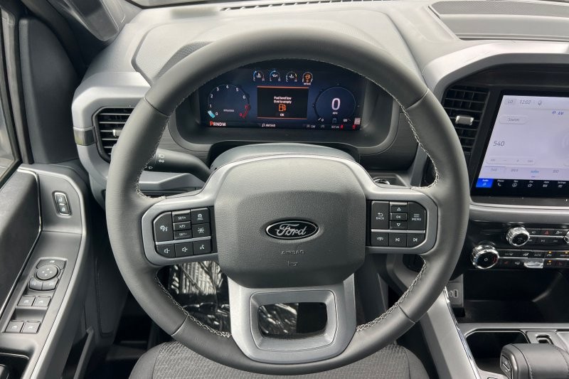 Ford F-150 Vehicle Full-screen Gallery Image 15