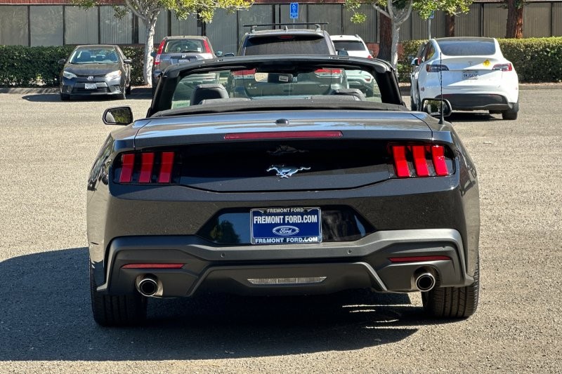 Ford Mustang Vehicle Full-screen Gallery Image 04
