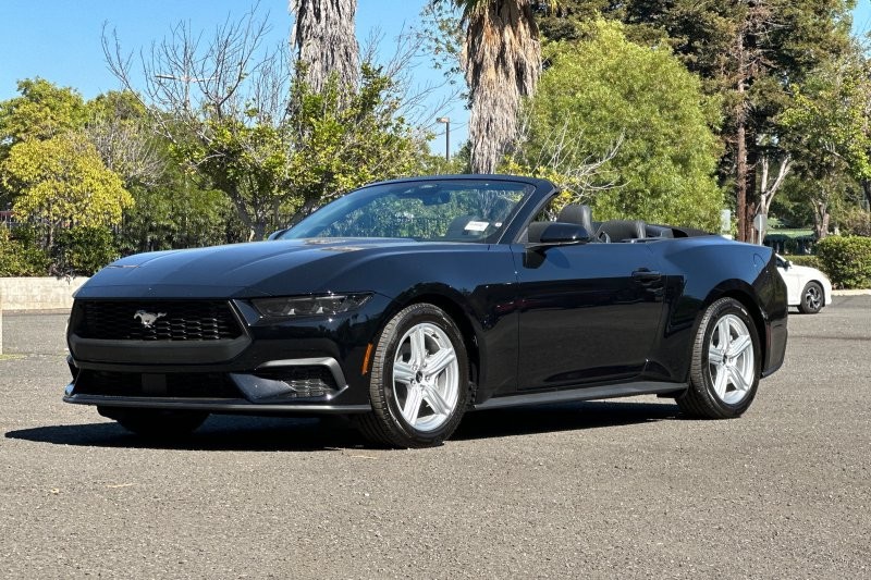 Ford Mustang Vehicle Full-screen Gallery Image 07