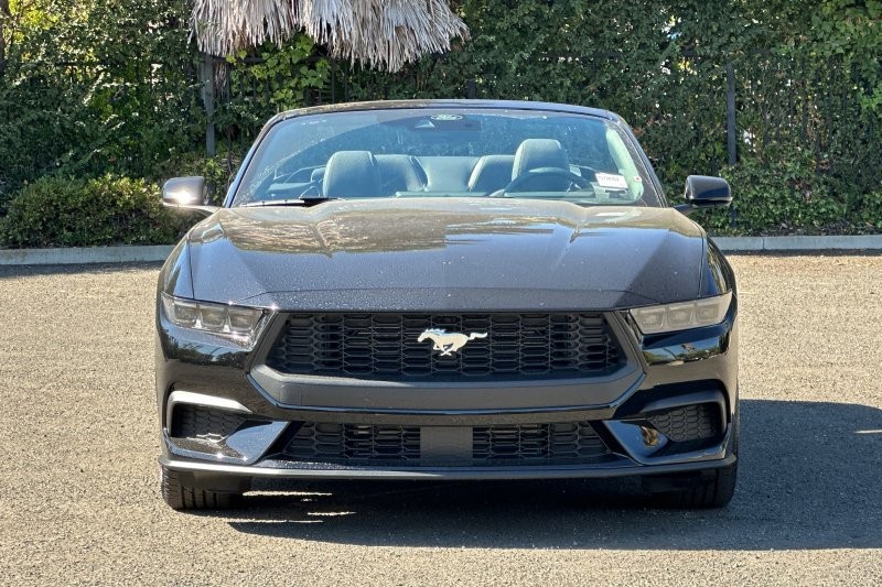 Ford Mustang Vehicle Full-screen Gallery Image 08