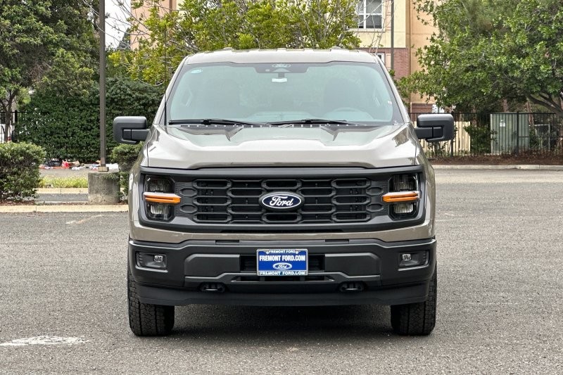 Ford F-150 Vehicle Full-screen Gallery Image 08