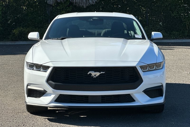 Ford Mustang Vehicle Full-screen Gallery Image 08