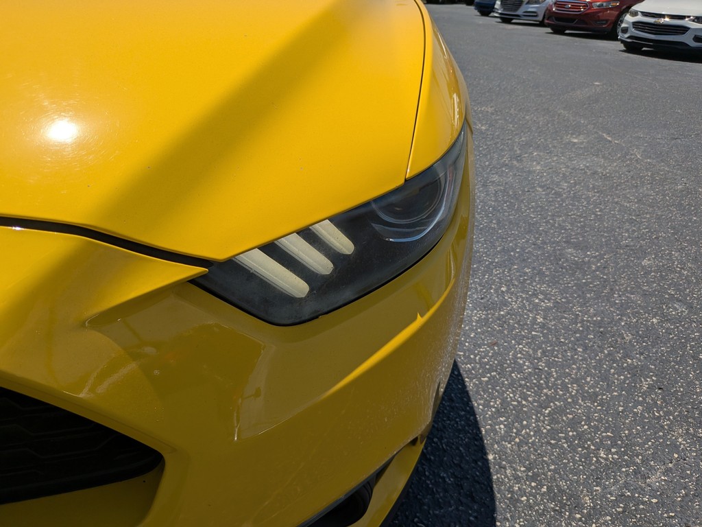 Ford Mustang Vehicle Full-screen Gallery Image 06