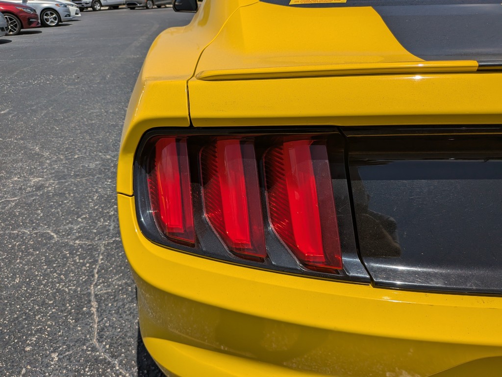 Ford Mustang Vehicle Full-screen Gallery Image 07