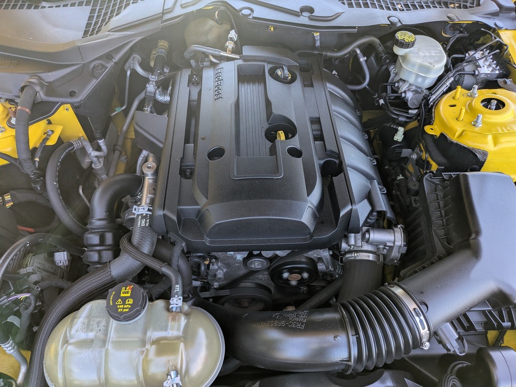 Ford Mustang Vehicle Full-screen Gallery Image 08