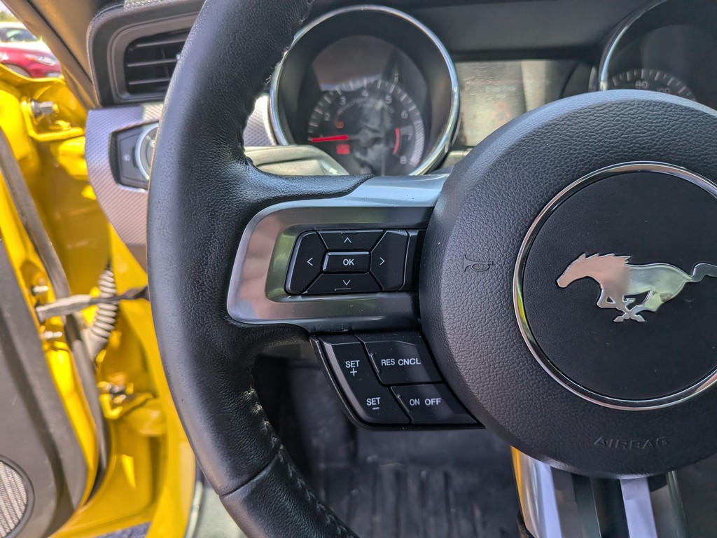 Ford Mustang Vehicle Full-screen Gallery Image 25