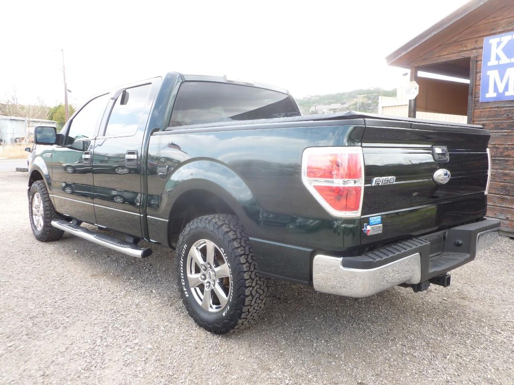 Ford F-150 Vehicle Image 02