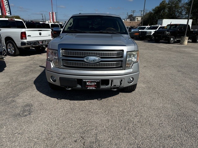 Ford F-150 Vehicle Image 03